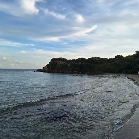 Panmar Daire Vasilikí